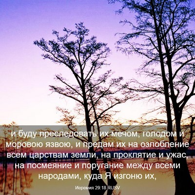 Picture 03 - Иеремия 29:18 RUSV - и буду преследовать их - Bible Verse Picture