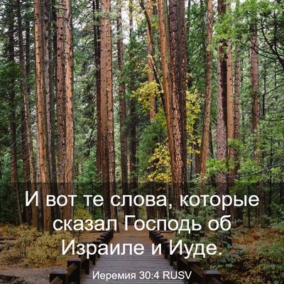Picture 03 - Иеремия 30:4 RUSV - И вот те слова, которые - Bible Verse Picture