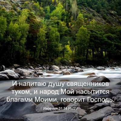 Picture 03 - Иеремия 31:14 RUSV - И напитаю душу священников - Bible Verse Picture