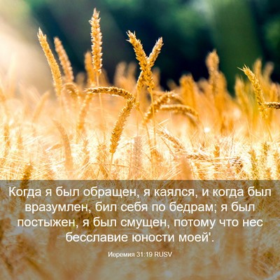 Picture 03 - Иеремия 31:19 RUSV - Когда я был обращен, я - Bible Verse Picture