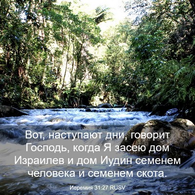 Picture 03 - Иеремия 31:27 RUSV - Вот, наступают дни, говорит - Bible Verse Picture
