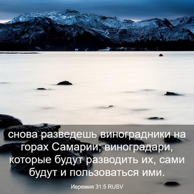 Picture 03 - Иеремия 31:5 RUSV - снова разведешь - Bible Verse Picture