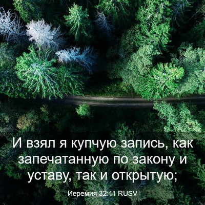 Picture 03 - Иеремия 32:11 RUSV - И взял я купчую запись, как - Bible Verse Picture