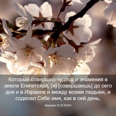 Picture 03 - Иеремия 32:20 RUSV - Который совершил чудеса и - Bible Verse Picture