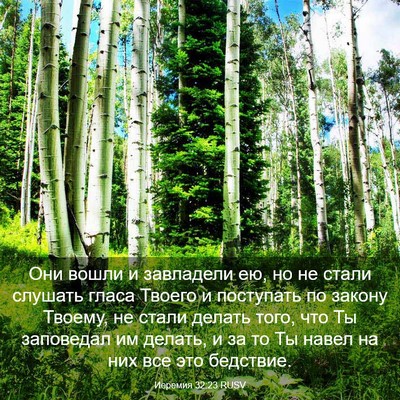 Picture 03 - Иеремия 32:23 RUSV - Они вошли и завладели ею, - Bible Verse Picture