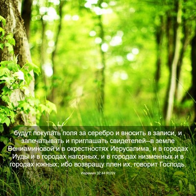 Picture 03 - Иеремия 32:44 RUSV - будут покупать поля за - Bible Verse Picture
