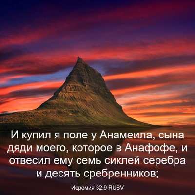 Picture 03 - Иеремия 32:9 RUSV - И купил я поле у Анамеила, - Bible Verse Picture