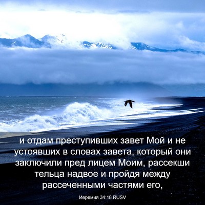 Picture 03 - Иеремия 34:18 RUSV - и отдам преступивших завет - Bible Verse Picture