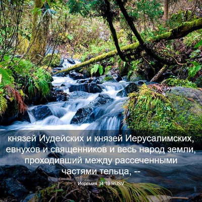 Picture 03 - Иеремия 34:19 RUSV - князей Иудейских и князей - Bible Verse Picture