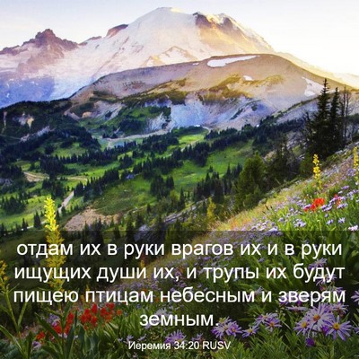 Picture 03 - Иеремия 34:20 RUSV - отдам их в руки врагов их и - Bible Verse Picture