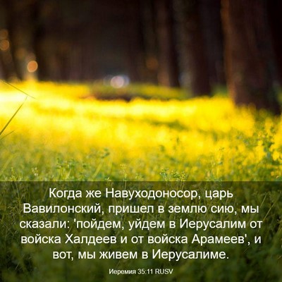 Picture 03 - Иеремия 35:11 RUSV - Когда же Навуходоносор, - Bible Verse Picture