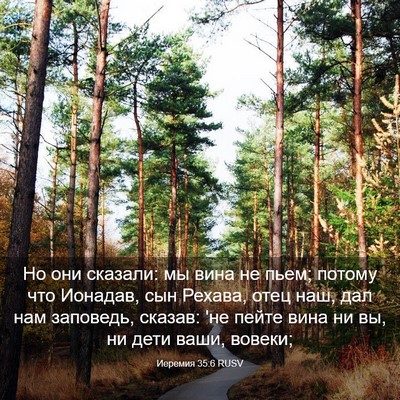 Picture 03 - Иеремия 35:6 RUSV - Но они сказали: мы вина не - Bible Verse Picture