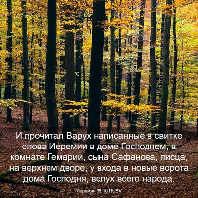 Picture 03 - Иеремия 36:10 RUSV - И прочитал Варух - Bible Verse Picture