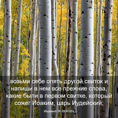 Picture 03 - Иеремия 36:28 RUSV - возьми себе опять другой - Bible Verse Picture