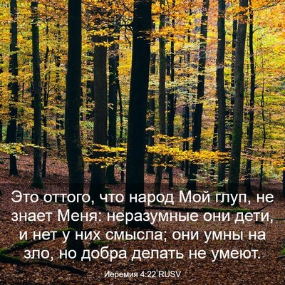 Picture 03 - Иеремия 4:22 RUSV - Это оттого, что народ Мой - Bible Verse Picture