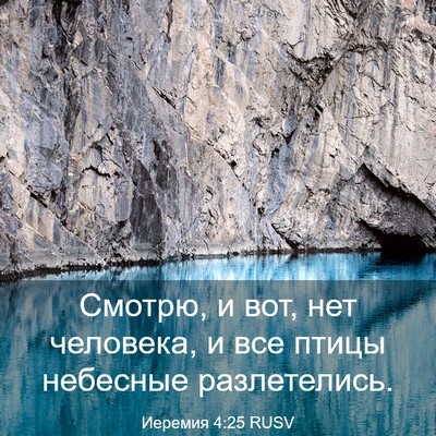 Picture 03 - Иеремия 4:25 RUSV - Смотрю, и вот, нет человека, - Bible Verse Picture
