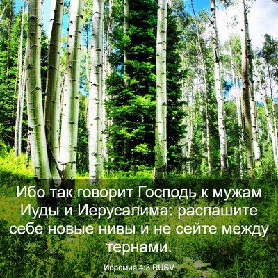 Picture 03 - Иеремия 4:3 RUSV - Ибо так говорит Господь к - Bible Verse Picture