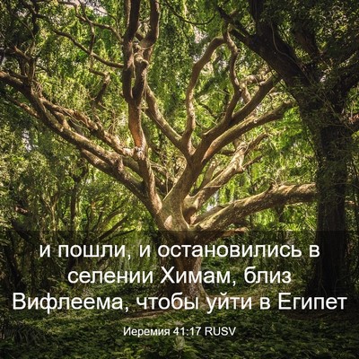 Picture 03 - Иеремия 41:17 RUSV - и пошли, и остановились в - Bible Verse Picture