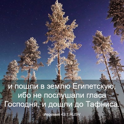 Picture 03 - Иеремия 43:7 RUSV - и пошли в землю Египетскую, - Bible Verse Picture