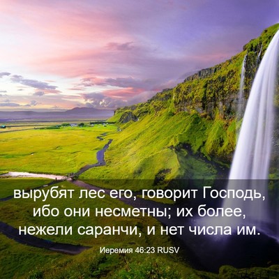 Picture 03 - Иеремия 46:23 RUSV - вырубят лес его, говорит - Bible Verse Picture