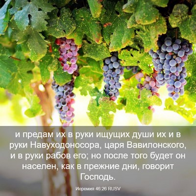 Picture 03 - Иеремия 46:26 RUSV - и предам их в руки ищущих - Bible Verse Picture