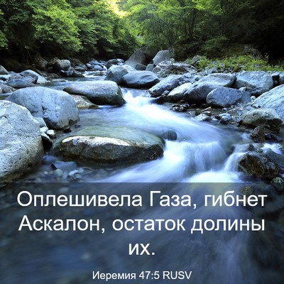 Picture 03 - Иеремия 47:5 RUSV - Оплешивела Газа, гибнет - Bible Verse Picture