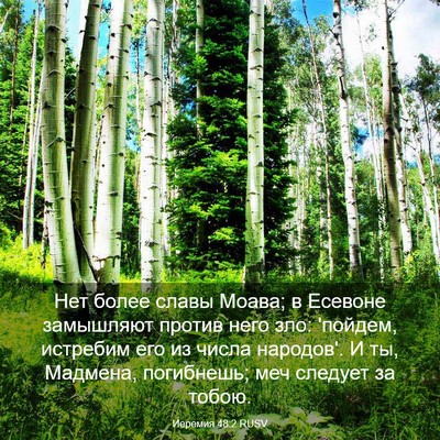 Picture 03 - Иеремия 48:2 RUSV - Нет более славы Моава; в - Bible Verse Picture