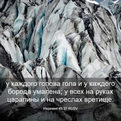 Picture 03 - Иеремия 48:37 RUSV - у каждого голова гола и у - Bible Verse Picture