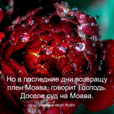 Picture 03 - Иеремия 48:47 RUSV - Но в последние дни - Bible Verse Picture