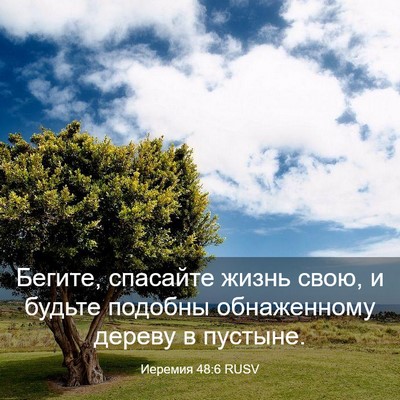 Picture 03 - Иеремия 48:6 RUSV - Бегите, спасайте жизнь - Bible Verse Picture