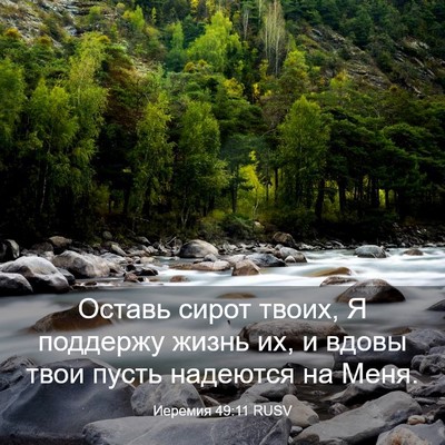 Picture 03 - Иеремия 49:11 RUSV - Оставь сирот твоих, Я - Bible Verse Picture