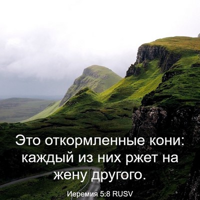 Picture 03 - Иеремия 5:8 RUSV - Это откормленные кони: - Bible Verse Picture