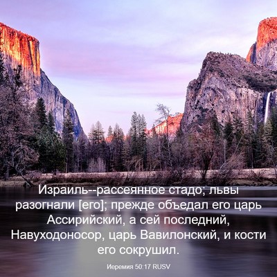 Picture 03 - Иеремия 50:17 RUSV - Израиль--рассеянное стадо; - Bible Verse Picture