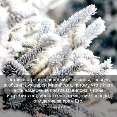 Picture 03 - Иеремия 51:11 RUSV - Острите стрелы, наполняйте - Bible Verse Picture