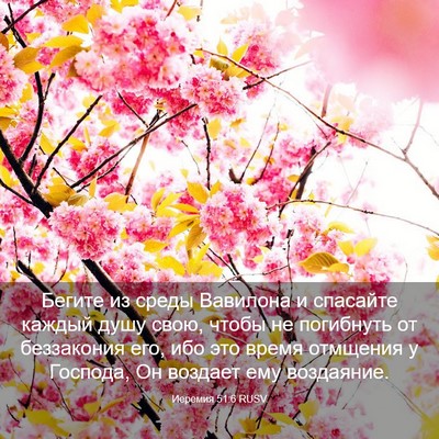 Picture 03 - Иеремия 51:6 RUSV - Бегите из среды Вавилона и - Bible Verse Picture