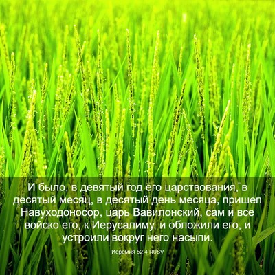 Picture 03 - Иеремия 52:4 RUSV - И было, в девятый год его - Bible Verse Picture