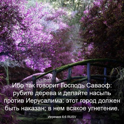 Picture 03 - Иеремия 6:6 RUSV - Ибо так говорит Господь - Bible Verse Picture