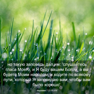 Picture 03 - Иеремия 7:23 RUSV - но такую заповедь дал им: - Bible Verse Picture