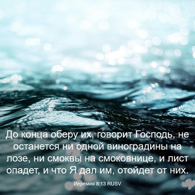 Picture 03 - Иеремия 8:13 RUSV - До конца оберу их, говорит - Bible Verse Picture