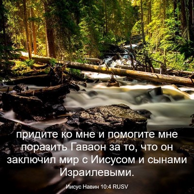 Picture 03 - Иисус Навин 10:4 RUSV - придите ко мне и помогите - Bible Verse Picture