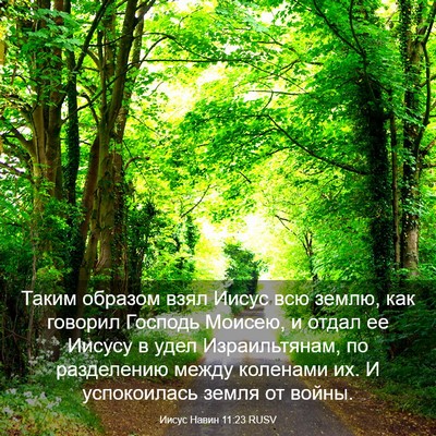 Picture 03 - Иисус Навин 11:23 RUSV - Таким образом взял Иисус - Bible Verse Picture