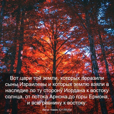 Picture 03 - Иисус Навин 12:1 RUSV - Вот цари той земли, которых - Bible Verse Picture