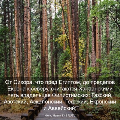 Picture 03 - Иисус Навин 13:3 RUSV - От Сихора, что пред - Bible Verse Picture