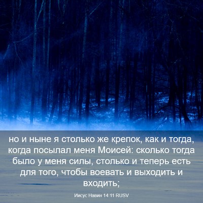 Picture 03 - Иисус Навин 14:11 RUSV - но и ныне я столько же - Bible Verse Picture