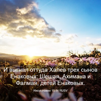 Picture 03 - Иисус Навин 15:14 RUSV - И выгнал оттуда Халев трех - Bible Verse Picture