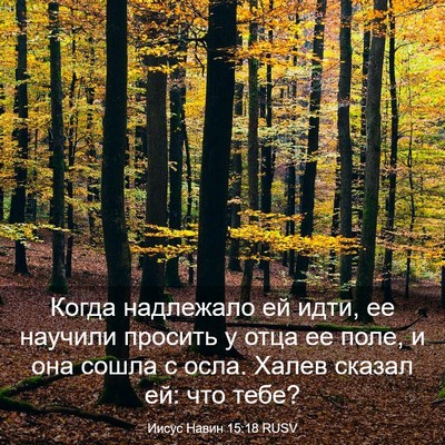 Picture 03 - Иисус Навин 15:18 RUSV - Когда надлежало ей идти, ее - Bible Verse Picture