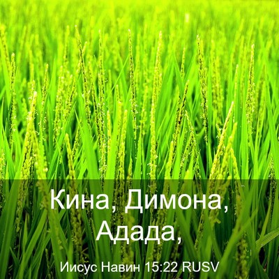 Picture 03 - Иисус Навин 15:22 RUSV - Кина, Димона, - Bible Verse Picture