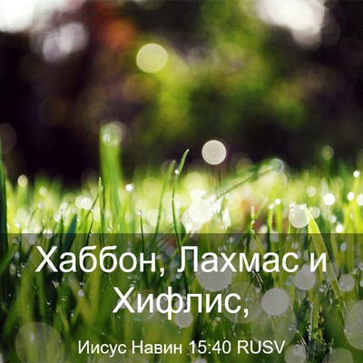 Picture 03 - Иисус Навин 15:40 RUSV - Хаббон, Лахмас и - Bible Verse Picture