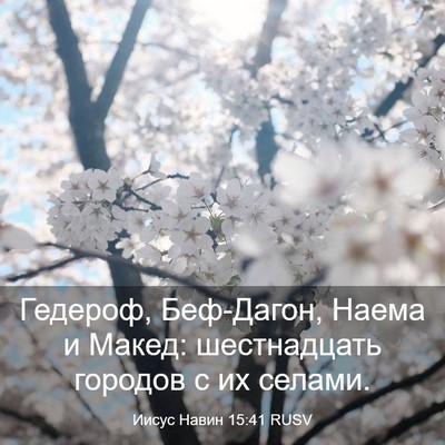 Picture 03 - Иисус Навин 15:41 RUSV - Гедероф, Беф-Дагон, Наема и - Bible Verse Picture