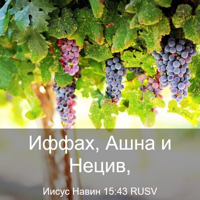 Picture 03 - Иисус Навин 15:43 RUSV - Иффах, Ашна и - Bible Verse Picture